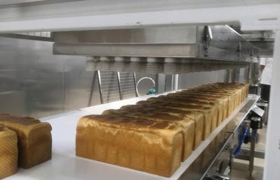 China Espiral da higiene SUS304 que refrigera a linha de produção automática do pão à venda
