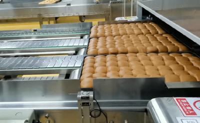 China Equipamento de produção do pão de Sourdough do desmoldador da agulha do CE à venda