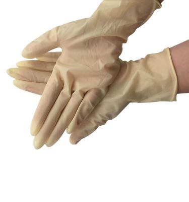 China Economical Powder Free Disposable Latex Gloves Economical Powder Free Disposable Latex Gloves for sale