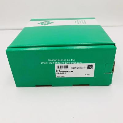 China INA   Cylindrical Roller  Bearings     SL045026-PP-RR-GA22 for sale