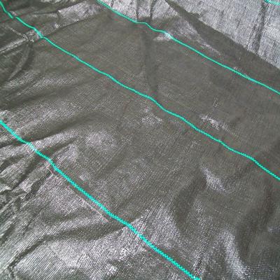 China # 2022 Weed Block Fabric,Weed Mat,Anti Weed FabricGround Cover Fabric,Weed Control Fabric,PE Anti Weed Fabric for sale