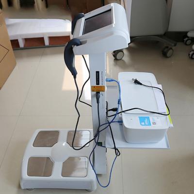 China ODM de supervisión gordo del CE de cuerpo de las grasas de la máquina gorda médica de la composición para el gimnasio en venta