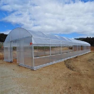 China Single Span PE Film Greenhouse TUV Low Cost Poly Tunnel Greenhouse for sale