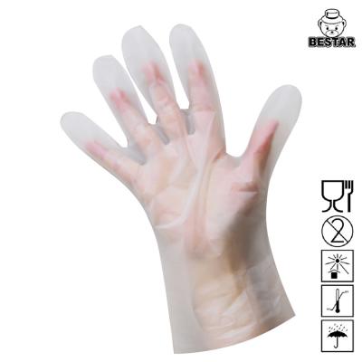 China Clear Plastic TPE Disposable Gloves For Kitchen Food Handling for sale