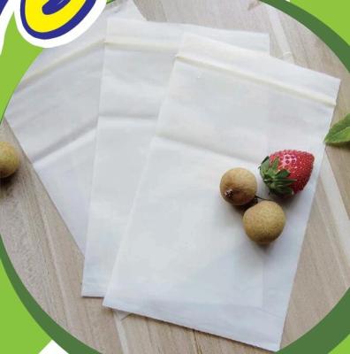 China Biodegradable Industrial Ziplock Bags Organic Waterproof Invisible Flower Seeding Packing for sale