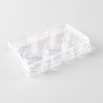 China Multi-Well Cell Culture Plate Cell And Tissue Culture Plates for sale