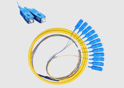 China SC UPC 12 Cores G652D G657A1 Patch Cord Pigtail for sale
