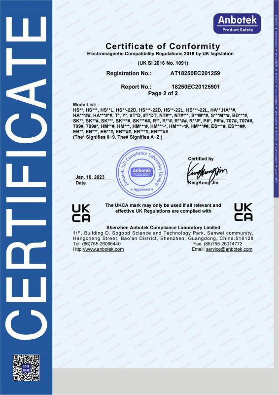 UKCA Certificate(2) - HYSEE Electronics Security Co., Limited