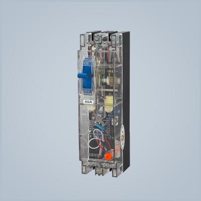 China 50Hz Earth Leakage 32 Amp MCCB Circuit Breaker 6 Amp 2 Pole for sale
