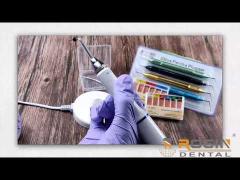 200°C Obturation Pen Portable Dental Equipment Cut And Fill The Gutta Percha