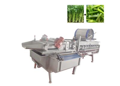 China Green Leaf Vegetable Washing Machine Lettuce Cabbage Salad Commercial Vegetable Washer for sale