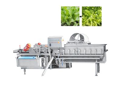 China 1000kg/H Green Leaf Cutter Lettuce Cutting Machine For Fruit Salad Vegetable for sale