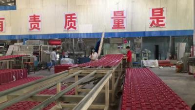 Chine 2.3mm 3 couches d'asa de PVC de feuille de toit, tuiles de toit ignifuges de Tejas à vendre