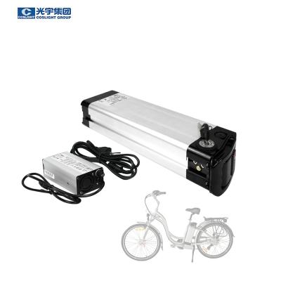 China Coslight 48v 20ah Electric Bicycle Battery Lithium Ion Battery for sale