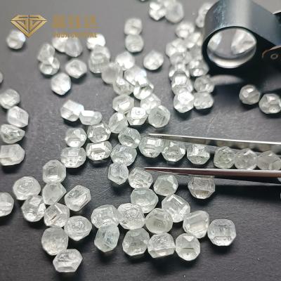 China diamante crecido laboratorio de Diamond Hpht Uncut White Rough de 0.4-0.6 quilates en venta