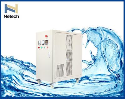 China 100g/hr Output Ozone Generator For Food / Beverage Production Line Bottled Water Treatment for sale