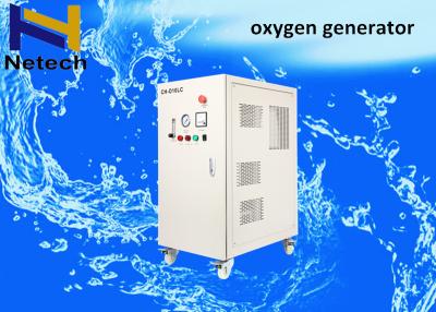 China PSA 10LPM 20LPM Oxygen Generator / Oxygen Machine O2 concentrator for sale