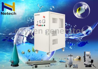 China máquina O2 de aço inoxidável do gerador do oxigênio de 10lpm 20lpm PSA em associações dos peixes à venda