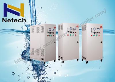 China 10G - 50G Ozone clean Treatment Machine Water Ozone For Swimming Pool for sale