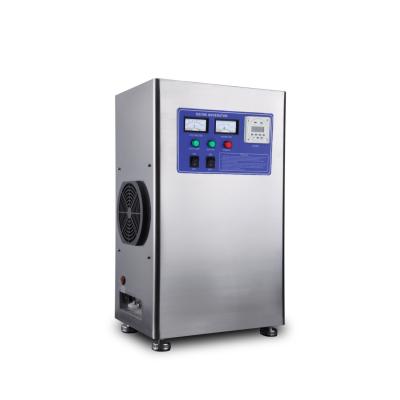 China 10g/Hr High Purification Ozone Generator For Food Processing Water Treatment for sale