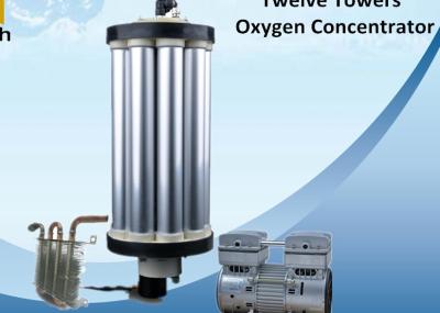中国 3LPM - 15LPM 分子酸素のコンセントレイターは酸素のふるいを分けます 販売のため