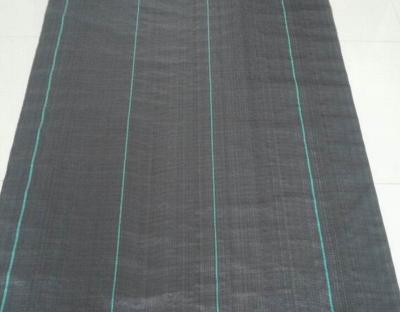 China Anti UV Heavy Duty Ground Cover Fabric BV Woven Weed Control Fabric for sale