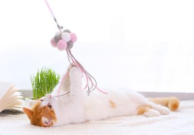 China Palillo divertido tricolor del gato de la bola de pelo, tamaño interactivo del juguete del animal doméstico modificado para requisitos particulares en venta