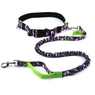 China Hands Free Dog Collars And Leashes / Unique Dog Leashes Customized Size for sale