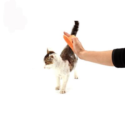 중국 TPR 물자 애완 동물 손 솔, 애완 동물 Dematting 빗 빨 수 있는 크기 13 * 8.5cm 판매용