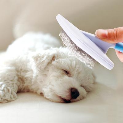 China Anti - Rust Pet Hair Brush / Dog Dematting Tool Rotatable Waterproof Easy Clean for sale