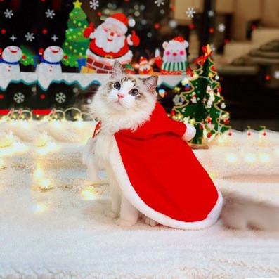 China El gato de lujo del estilo de la Navidad viste el peso rojo 0.15kg de la capa para el regalo/el recuerdo en venta