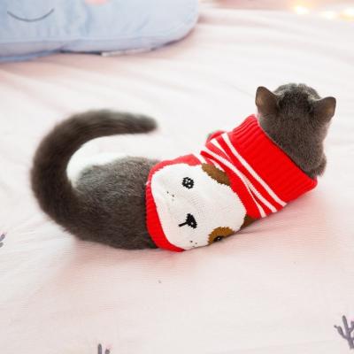 China El suéter que lleva modificado para requisitos particulares del gato del modelo, gato del diseñador viste la talla xs - XXL en venta