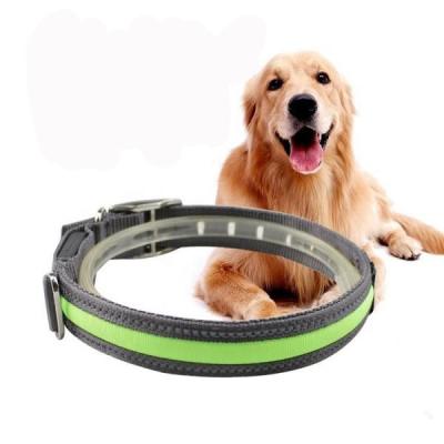 China High Visibility Waterproof LED Dog Collar USB Rechargeable Lightweight for sale
