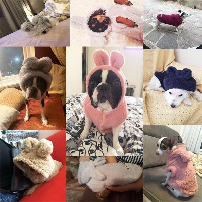 China Winter Custom Dog Hoodies , Cold Proof Small Dog And Cat Clothes for sale