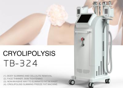 China Newest Cryolipolysis Machine / Fat Freezing Body Sliming Machine Weight Loss Equipment for sale