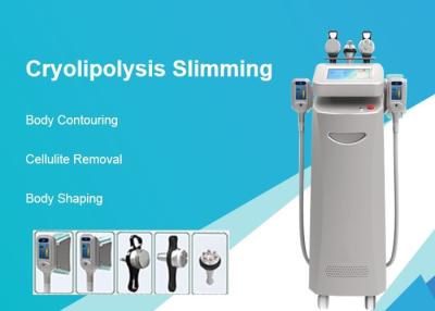 China Vertical Cryolipolysis Fat Freeze Slimming Machine For Body Shaping Two Years Gurantee for sale