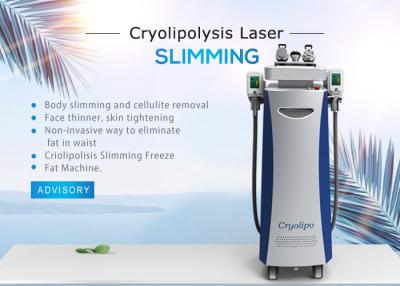 China Non - Invasive Cryolipolysis Slimming Machine With 10.4 Inch Touch Color Screen for sale