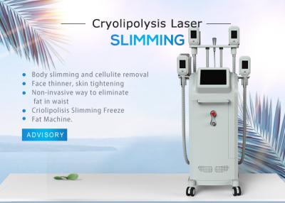 China Cellulite Reduce Cryolipolysis Slimming Machine / Cryo Fat Freezing Loss Weight Equipment for sale