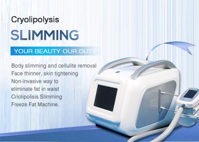 China Mini Ultrasound Cavitation Cryolipolysis Body Slimming Machine / Skin Rejuvenation Equipment for sale