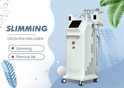 China Touch Screen 5 In 1 Slimming Machine / Cryo Lipo Fat Freeze Cavitation RF Vacuum Slimming Equipment for sale