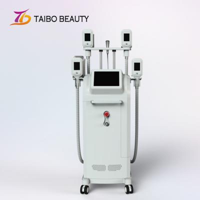 China Whole Body Fat Reduction Cryolipolysis Slimming Machine With Touch Screen Four Handles for sale