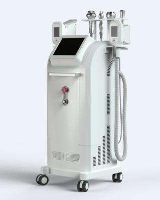 China Reducción de las celulitis del cuerpo de la cavitación de Cryolipolysis que adelgaza la máquina 1800W eficiente en venta