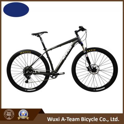 China 29er Sram Nx 11 Mountain Bicycle (MTB14) for sale