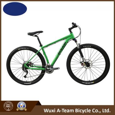 China 29er 27 Speed Mountain Bicycle (MTB11) for sale