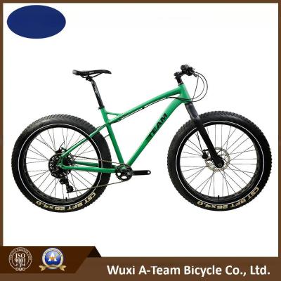 Chine Sram Nx 1*11 Speed 26" Alloy Snow Mountain Bike à vendre