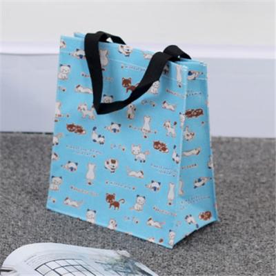 China OEM Blue Canvas Shopping Totes for sale