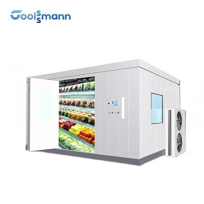 China Commercial Cold Room Freezer Container For Frozen Vegetable And Fish Seafood for sale