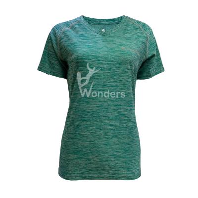 China Woman' s Classic Short Sleeve Crew Neck T Shirt Quick Dry Tee for sale
