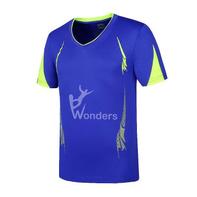 China Men's Professional Quickly DryBreathable Sports T Shirts For Gym Joggers Running for sale