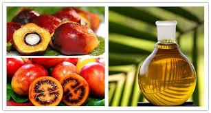 Китай Промышленное разъединение пальмового масла оливкового масла сцеживая центрифугу с спиральным твердым ОЭМ разрядки продается